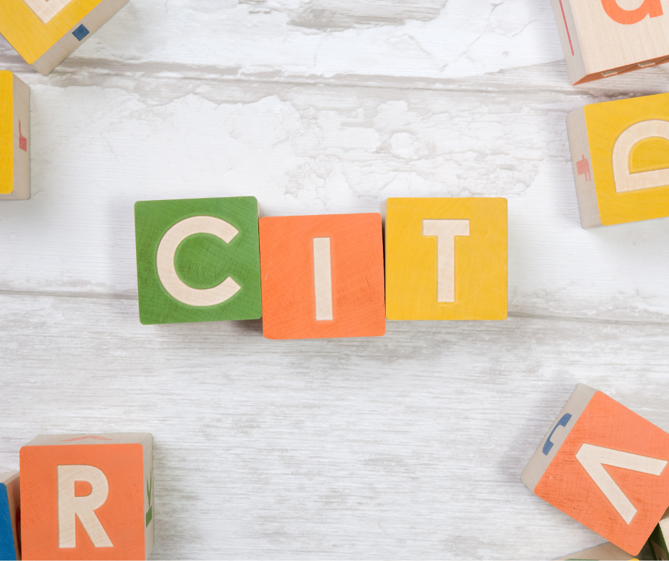 CIT instrumenty uszczelniające Royal Profit